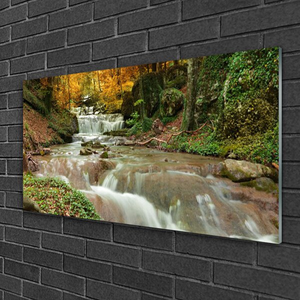 Quadro vetro Cascata Foresta Natura 100x50 cm 2 appendini