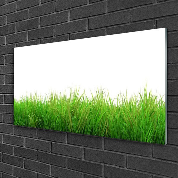 Quadro in vetro Erba Pianta Natura 100x50 cm 2 appendini