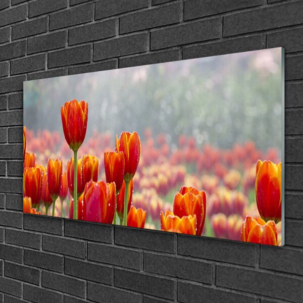 Quadro su vetro Tulipani Fiori Pianta 100x50 cm 2 appendini