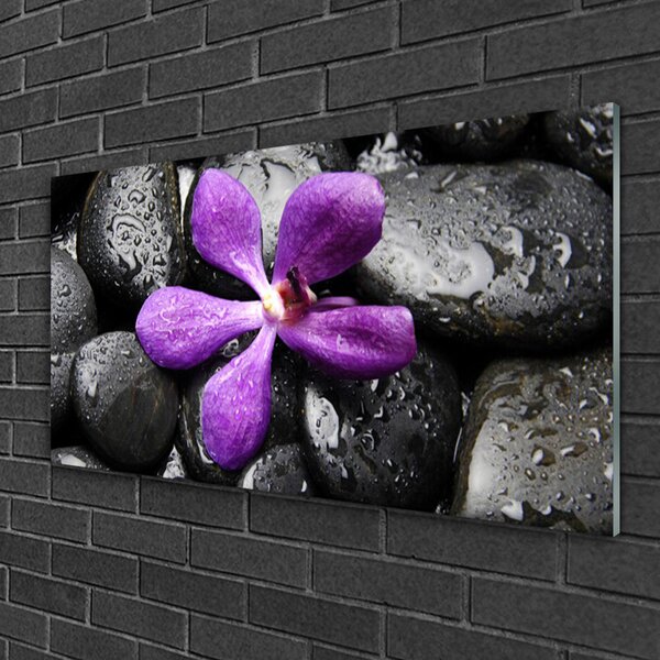 Quadro vetro Pietre di fiori d'arte 100x50 cm 2 appendini