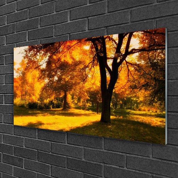 Quadro vetro Alberi Autunno Natura 100x50 cm 2 appendini