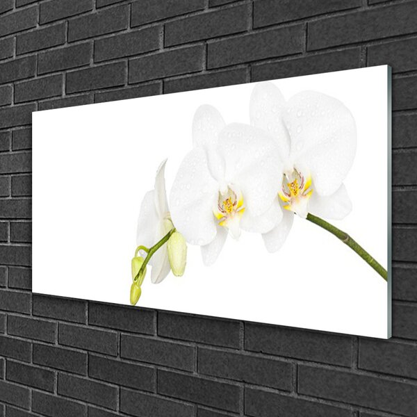 Quadro vetro Fiori Pianta naturale 100x50 cm 2 appendini