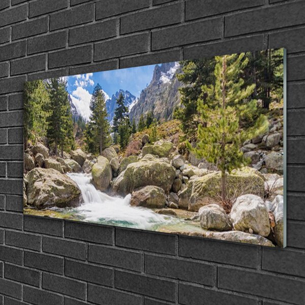 Quadro vetro Foresta di montagna Stones River 100x50 cm 2 appendini