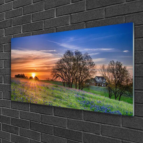 Quadro in vetro Prato Sole Paesaggio 100x50 cm 2 appendini