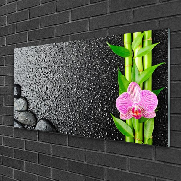 Quadro su vetro Pianta di bambù a stelo fiorito 100x50 cm 2 appendini