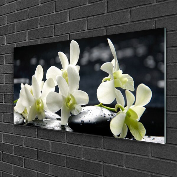 Quadro su vetro Pianta di orchidea da fiore 100x50 cm 2 appendini