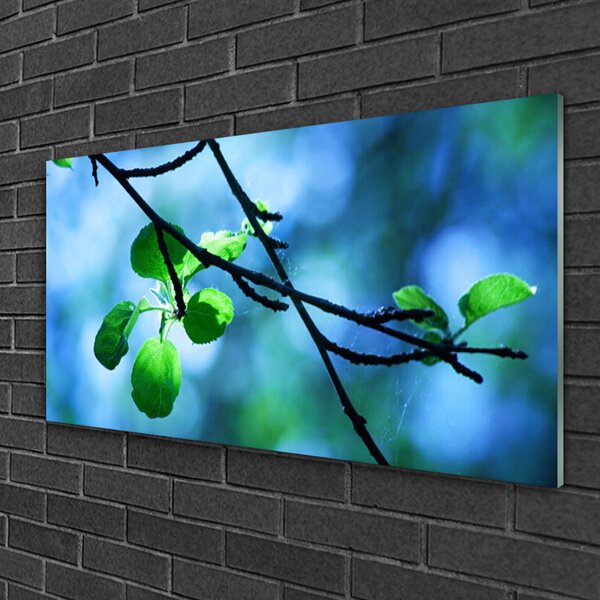 Quadro su vetro Ramo Foglia Pianta Natura 100x50 cm 2 appendini