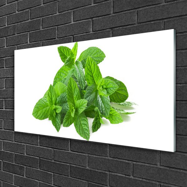 Quadro in vetro Pianta naturale di menta 100x50 cm 2 appendini