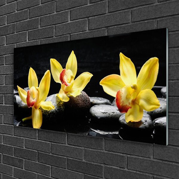 Quadro su vetro Pianta di orchidea da fiore 100x50 cm 2 appendini
