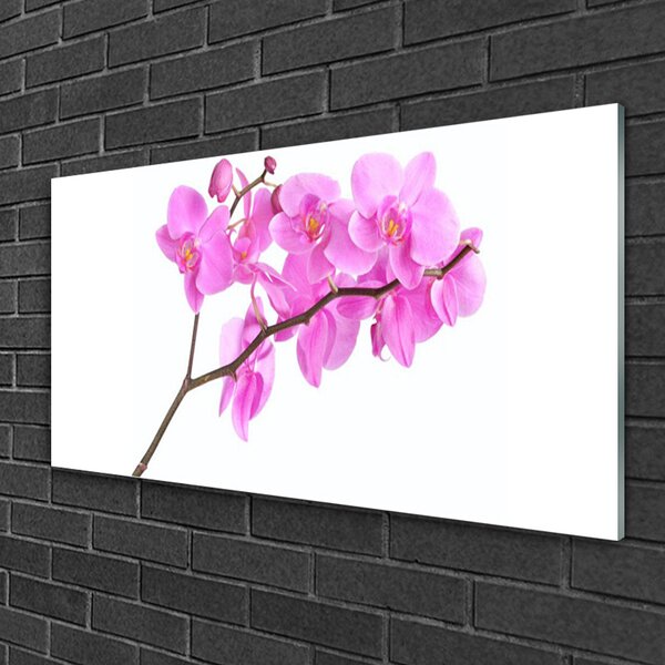 Quadro su vetro Fiori Pianta naturale 100x50 cm 2 appendini