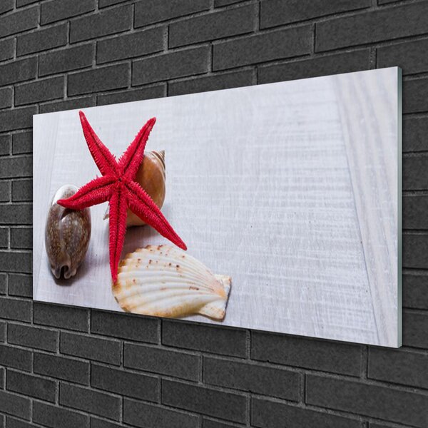 Quadro in vetro Conchiglie di stelle marine Arte 100x50 cm 2 appendini