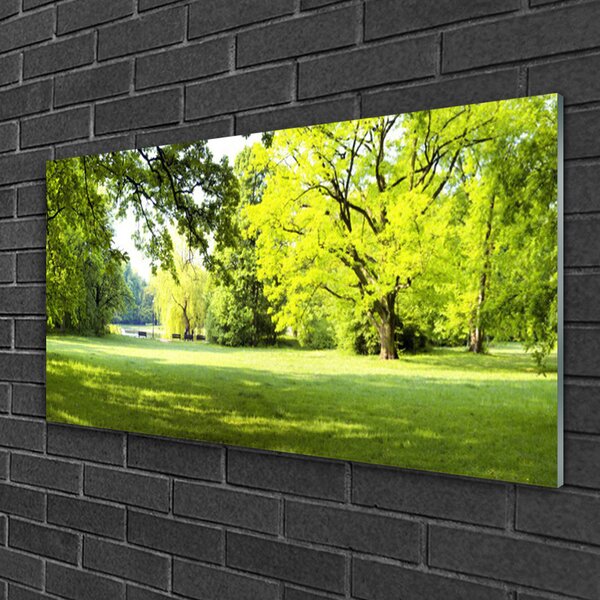 Quadro in vetro Erba Alberi Parco Natura 100x50 cm 2 appendini