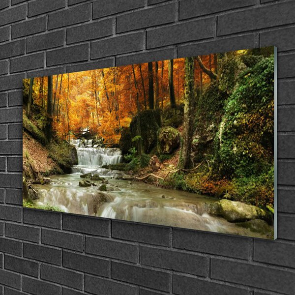 Quadro in vetro Cascata Foresta Natura 100x50 cm 2 appendini