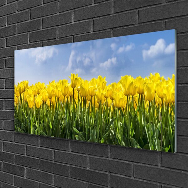 Quadro vetro Tulipani Fiori Pianta 100x50 cm 2 appendini