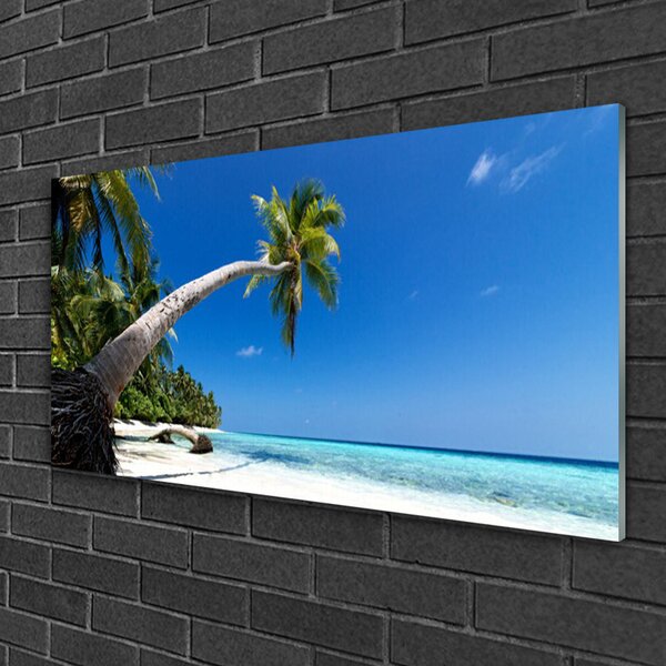 Quadro vetro Spiaggia Palma Mare Paesaggio 100x50 cm 2 appendini
