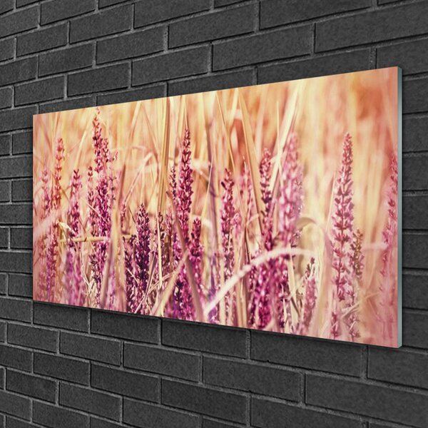 Quadro su vetro Grano Natura Pianta 100x50 cm 2 appendini