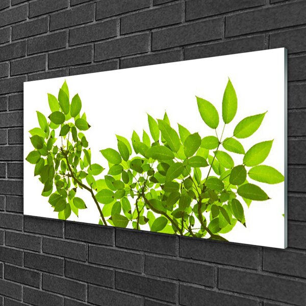 Quadro su vetro Ramo Foglia Pianta Natura 100x50 cm 2 appendini