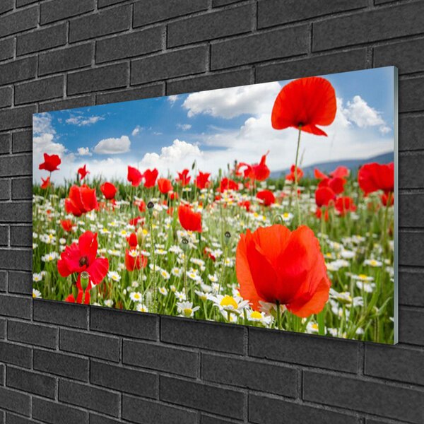 Quadro in vetro Prato Fiori Natura 100x50 cm 2 appendini