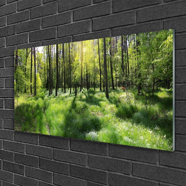 Quadro di vetro Foresta Erba Pianta Natura 100x50 cm 2 appendini