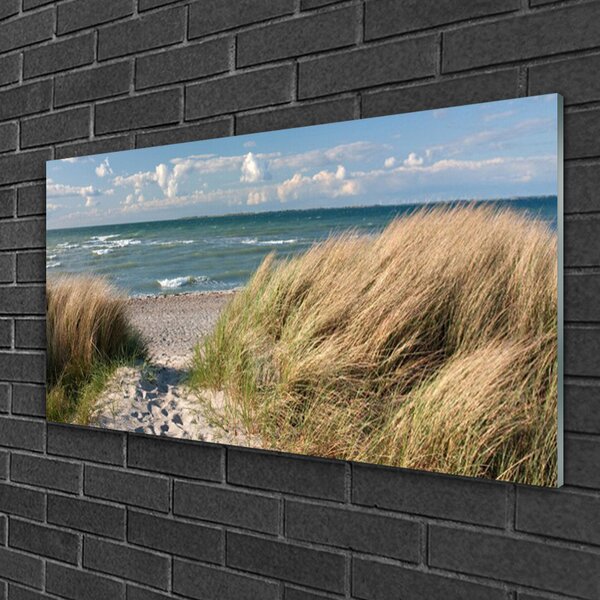 Quadro vetro Spiaggia mare erba paesaggio 100x50 cm 2 appendini