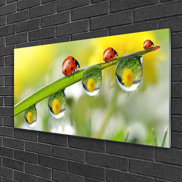 Quadro di vetro Foglia di coccinella Natura 100x50 cm 2 appendini