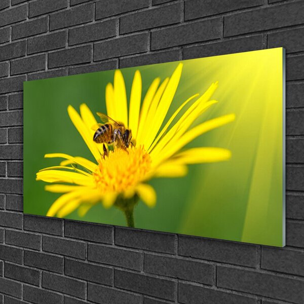 Quadro di vetro Ape Fiore Natura 100x50 cm 2 appendini