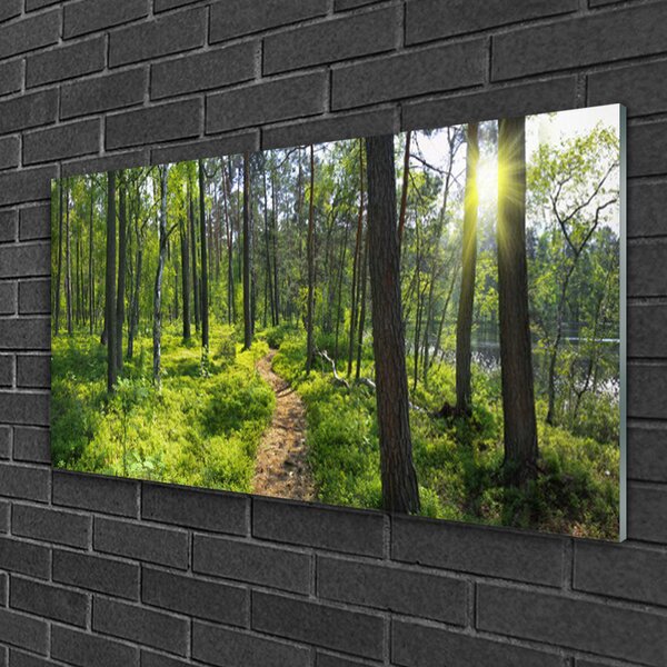 Quadro in vetro Sentiero forestale Natura 100x50 cm 2 appendini