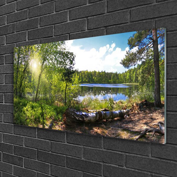 Quadro in vetro Foresta Alberi Lago Natura 100x50 cm 2 appendini