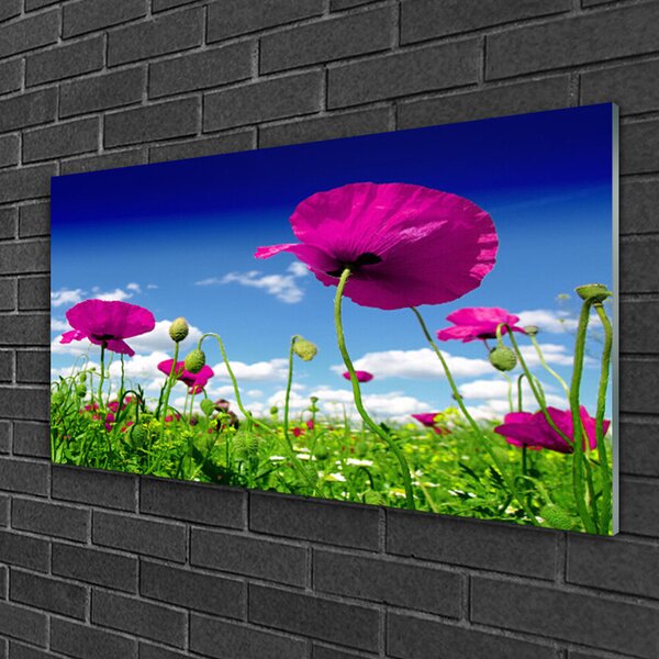 Quadro in vetro Prato Fiori Cielo Natura 100x50 cm 2 appendini