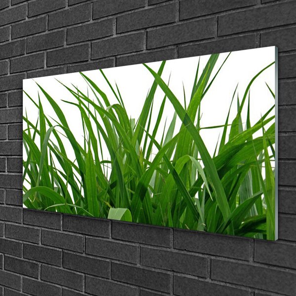 Quadro in vetro Erba Pianta Natura 100x50 cm 2 appendini