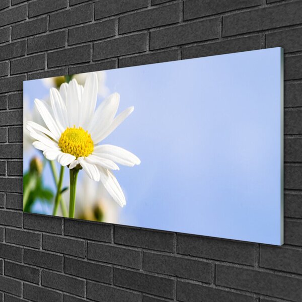 Quadro su vetro Pianta naturale margherita 100x50 cm 2 appendini