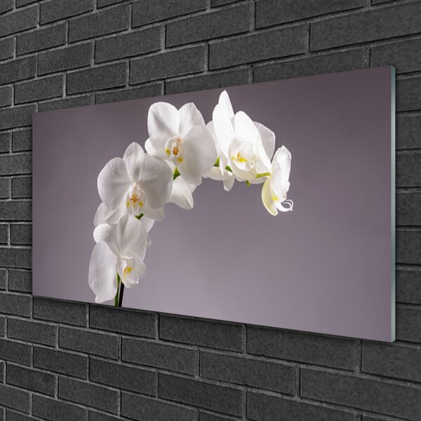 Quadro vetro Fiori Pianta naturale 100x50 cm 2 appendini