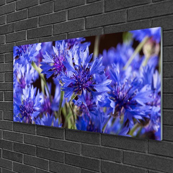 Quadro vetro Fiori Pianta naturale 100x50 cm 2 appendini