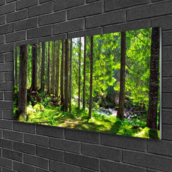 Quadro di vetro Foresta Alberi Pianta Natura 100x50 cm 2 appendini