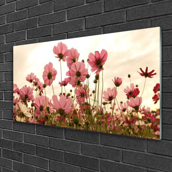 Quadro vetro Campo Fiori Prato Natura 100x50 cm 2 appendini