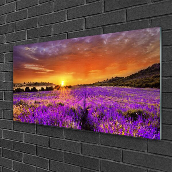 Quadro vetro Campo di lavanda al tramonto 100x50 cm 2 appendini
