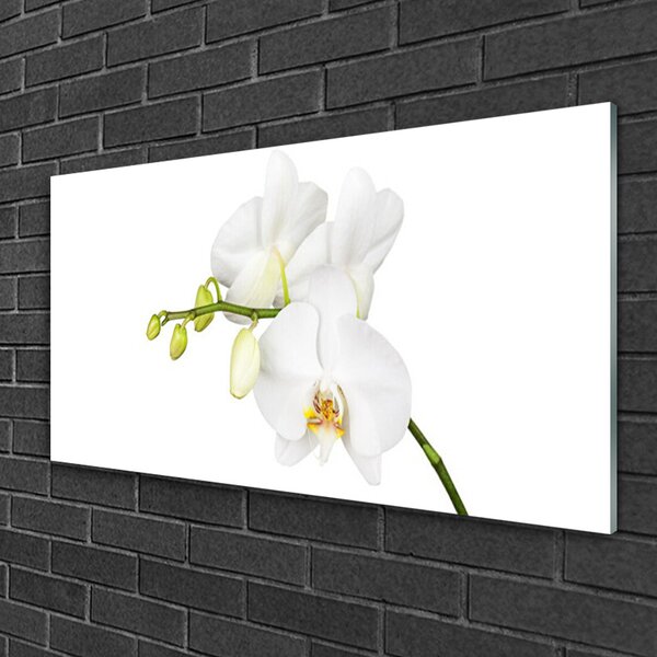 Quadro vetro Orchidea Fiori della natura 100x50 cm 2 appendini