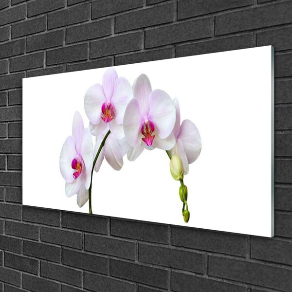 Quadro in vetro Orchidea Fiori di orchidea 100x50 cm 2 appendini