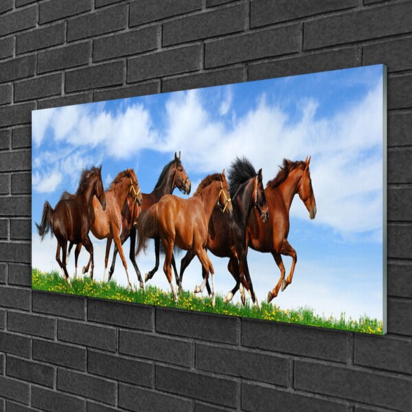 Quadro di vetro Cavalli al galoppo nel pascolo 100x50 cm 2 appendini