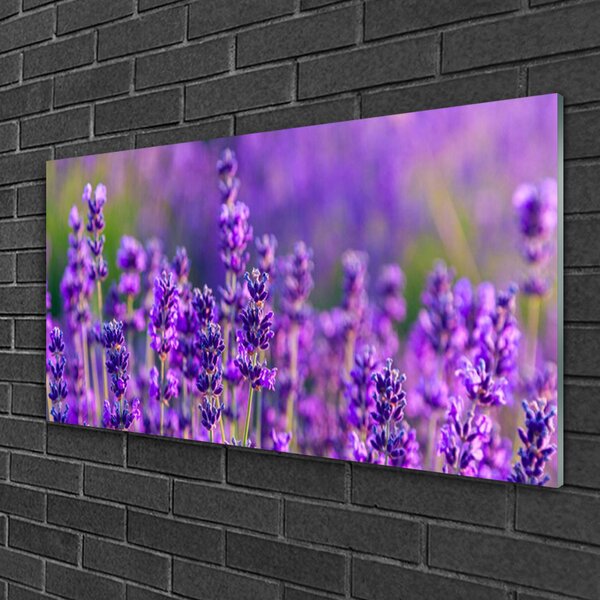 Quadro vetro Campo di lavanda viola 100x50 cm 2 appendini