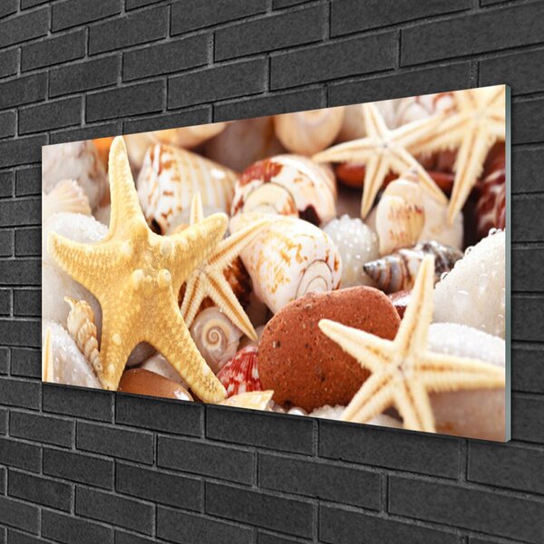 Quadro vetro Conchiglie di stelle marine sulla spiaggia 100x50 cm 2 appendini