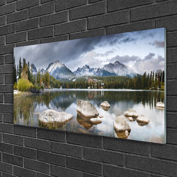 Quadro in vetro Lago Montagne Foresta Paesaggio 100x50 cm 2 appendini