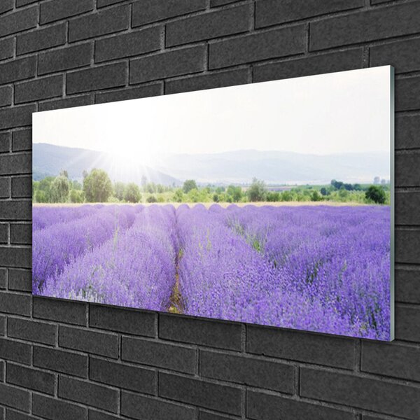 Quadro su vetro Campo di lavanda Prato naturale 100x50 cm 2 appendini