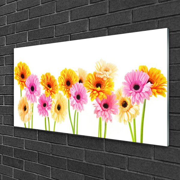 Quadro in vetro Fiori Gerbere colorate 100x50 cm 2 appendini