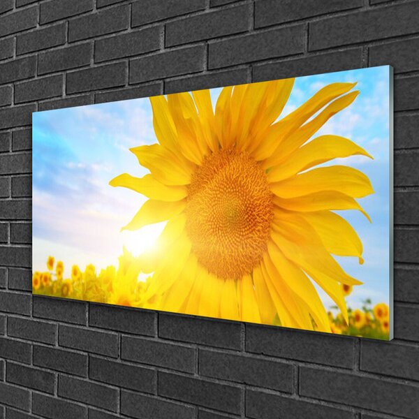 Quadro in vetro Girasole Girasole 100x50 cm 2 appendini