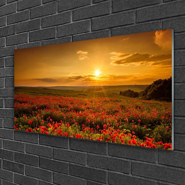 Quadro in vetro Papaveri di campo Prato al tramonto 100x50 cm 2 appendini