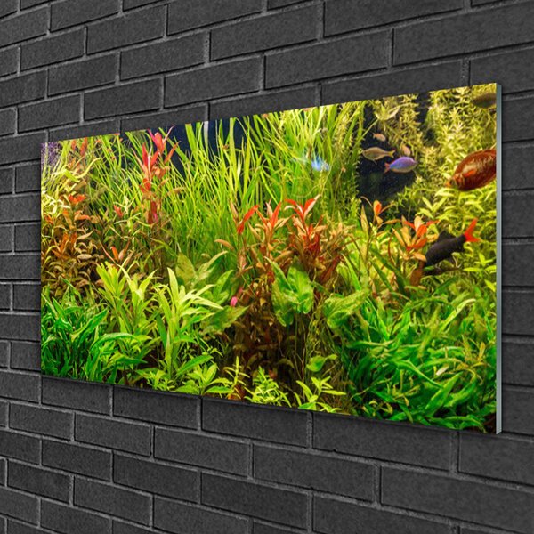 Quadro su vetro Piante per pesci d'acquario 100x50 cm 2 appendini