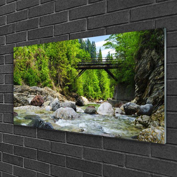 Quadro di vetro Ponte di legno nella foresta 100x50 cm 2 appendini