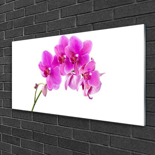 Quadro vetro Fiore di orchidea 100x50 cm 2 appendini