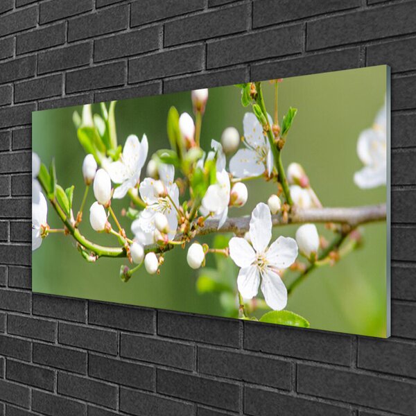 Quadro in vetro Fiori Rami Foglie Frutteto 100x50 cm 2 appendini